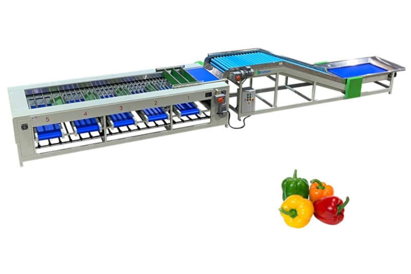 images/1681981040117bell pepper grading machine.jpg